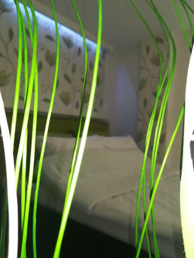 Classy&Cozy - New - 3 beds - Near Center Nowy Sad Zewnętrze zdjęcie